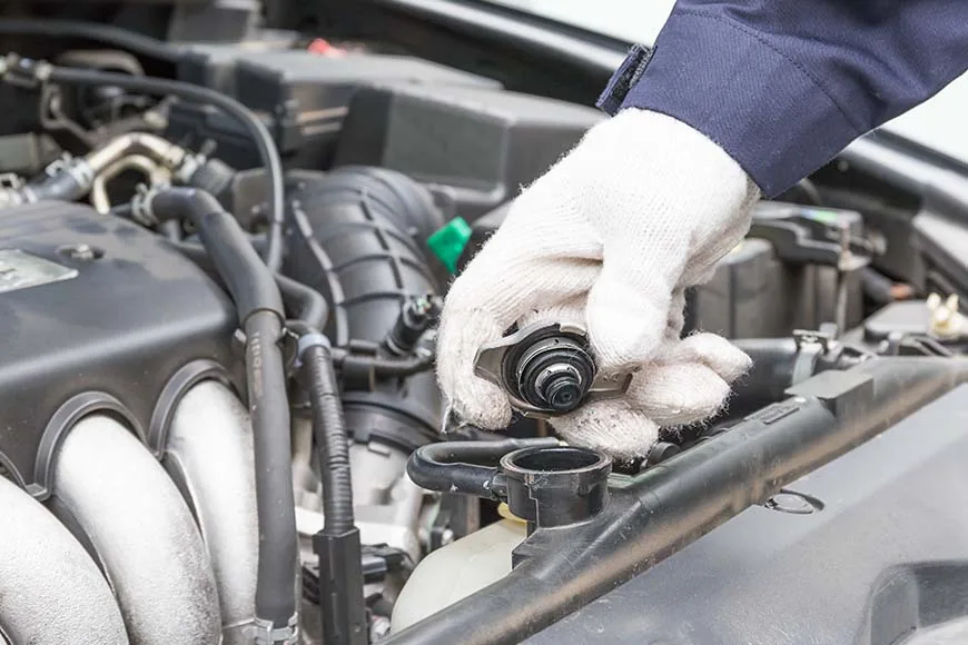 Full Service
